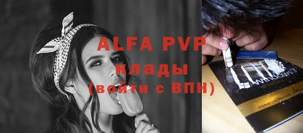 индика Корсаков
