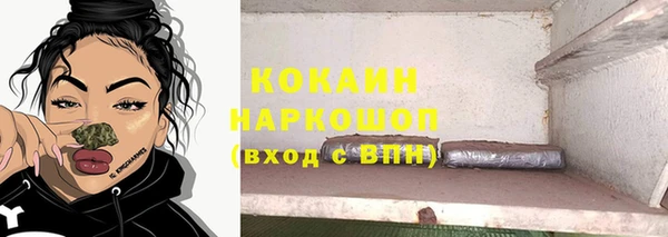 сатива Кодинск