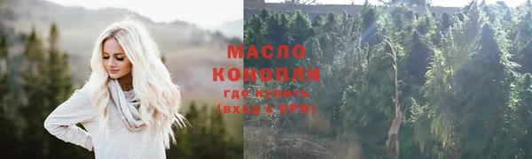 соль ск Козельск