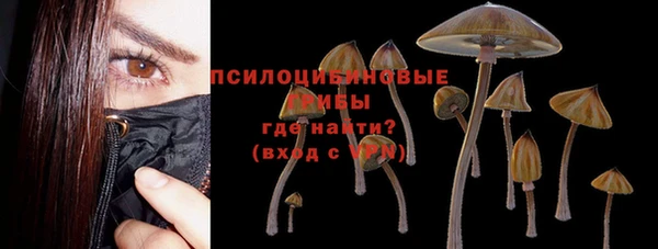 соль ск Козельск
