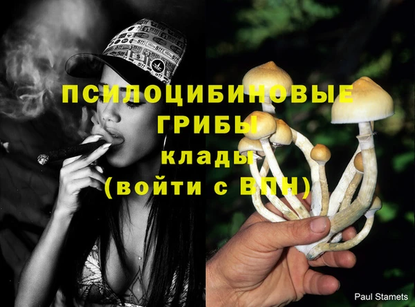 индика Корсаков