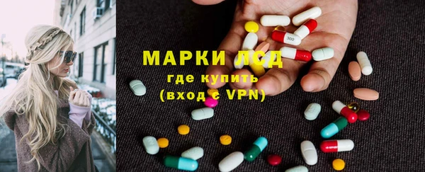 сатива Кодинск