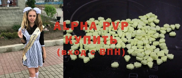 трава Коряжма