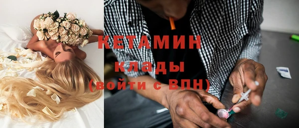 индика Корсаков