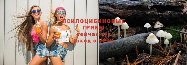 соль ск Козельск