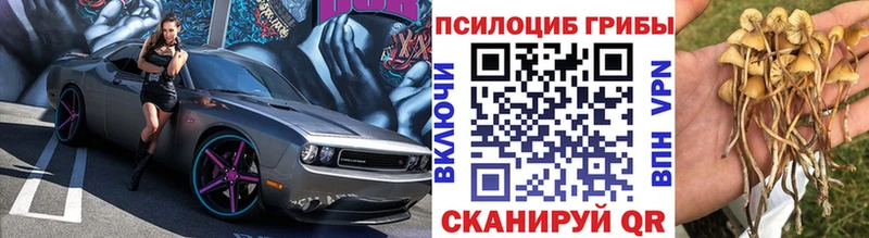 KRAKEN рабочий сайт Петров Вал Галлюциногенные грибы прущие грибы
